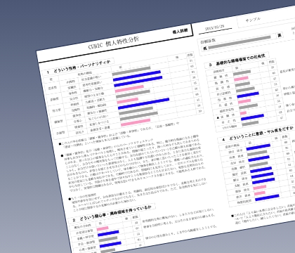 採用適性検査（CUBIC）